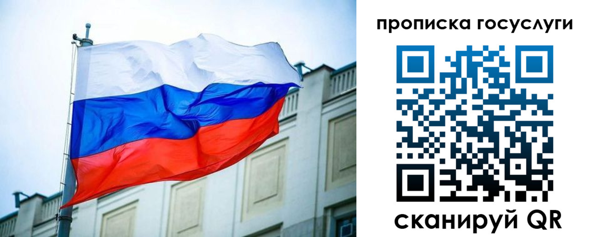 прописка поиск в Губкине